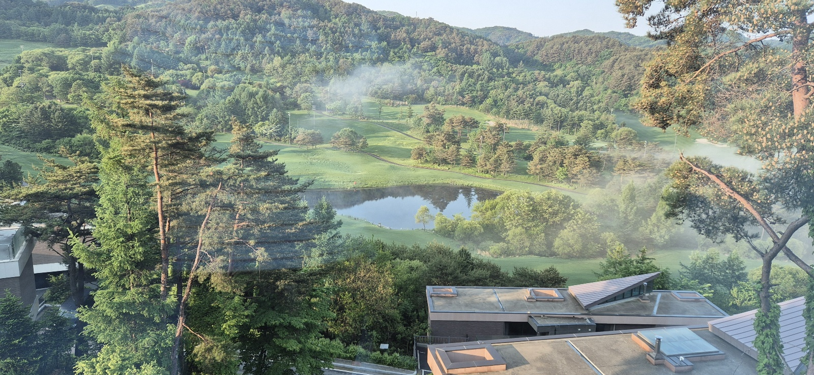 웰리힐리 히든힐스