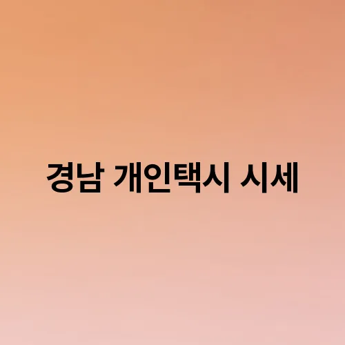 경남 개인택시 시세
