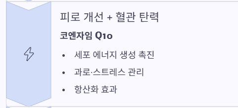 혈액순환 개선제 추천 부작용