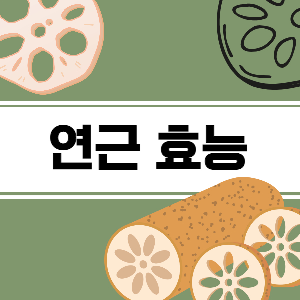 연근 효능│연근 효능과 부작용 알고 드세요!