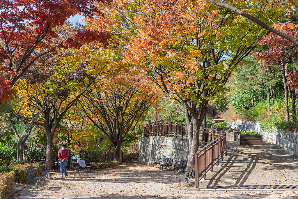 혜화문
성북동
한양도성길
백악구간
서울여행
서울단풍
가을단풍
단풍
성벽
와룡공원