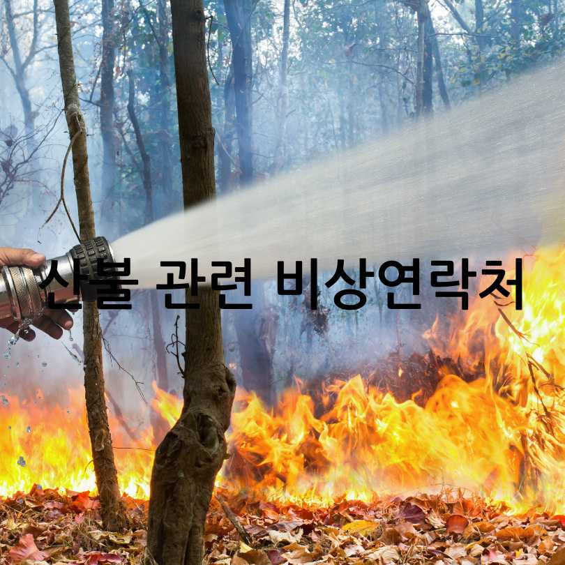 산불 국민행동요령
