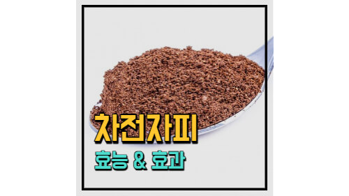 포스팅 썸네일 이미지