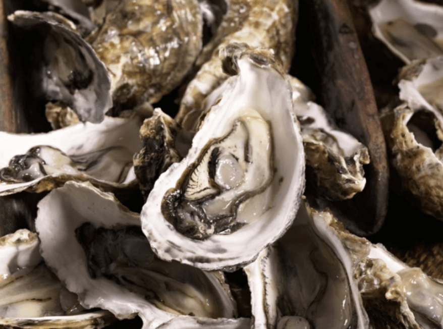 [겨울철 별미] 굴의 여러가지 보관방법 및 보관시기, 한방에 간단정리!!