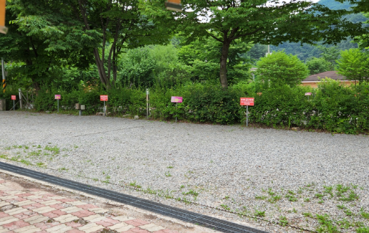 연인산 다목적캠핑장