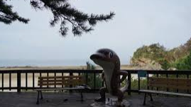 태안해안 국립공원 실시간 cctv