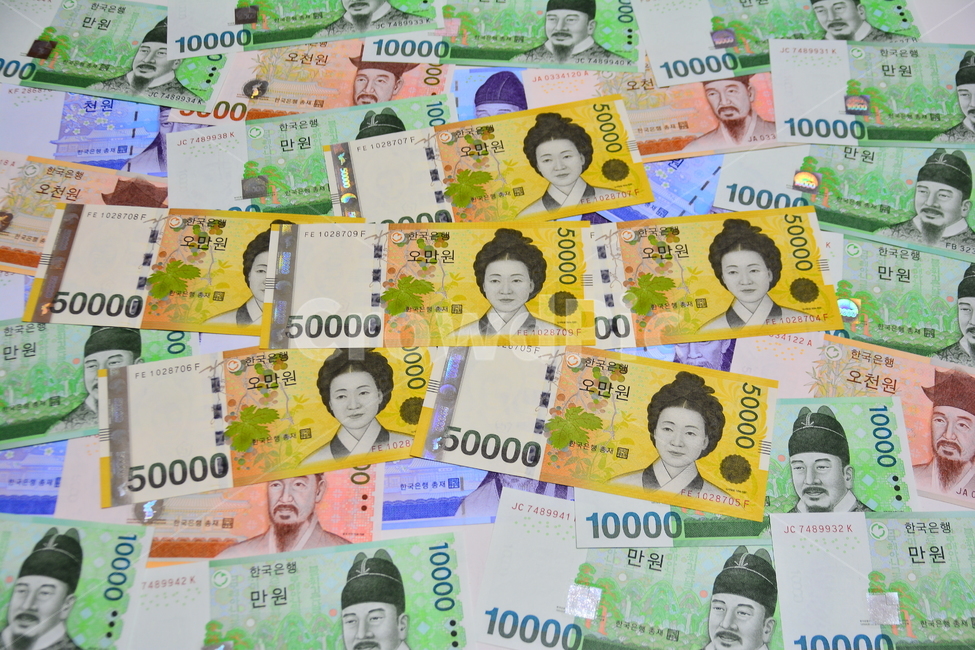 돈, 정부지원금