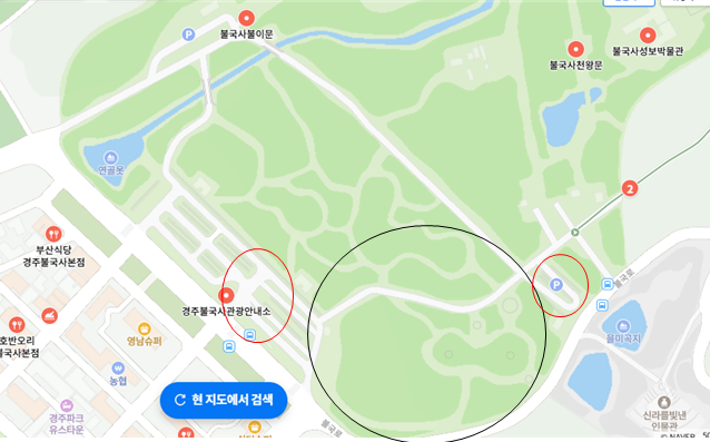 겹벚꽃 군락지 지도