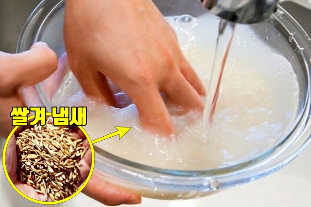 쌀 씻는법, 쌀 씻는 횟수, 냄비밥 맛있게 짓는법, 생활 팁줌 매일꿀정보