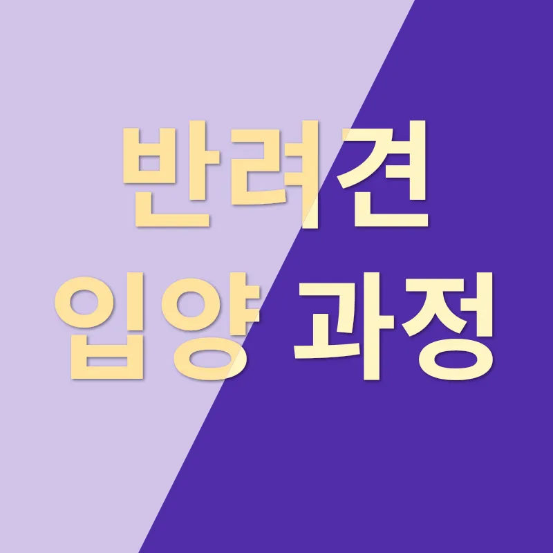 반려견 채택_2