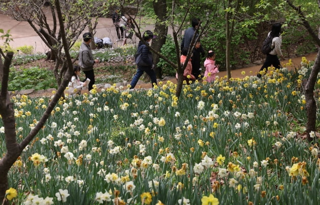 화담숲 예약 방법과 방문 팁 총정리
