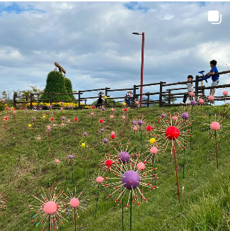 인천 여행 드림파크 국화축제 기본정보 주차장 정보(출처-홈페이지)