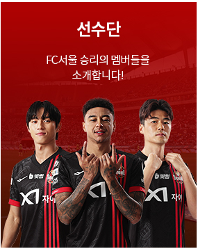 FC서울 감독&amp;#44;선수&amp;#44;팀스타일&amp;#44;일정&amp;#44; 서울상암월드컵 경기장