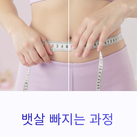 뱃살 빠지는 과정