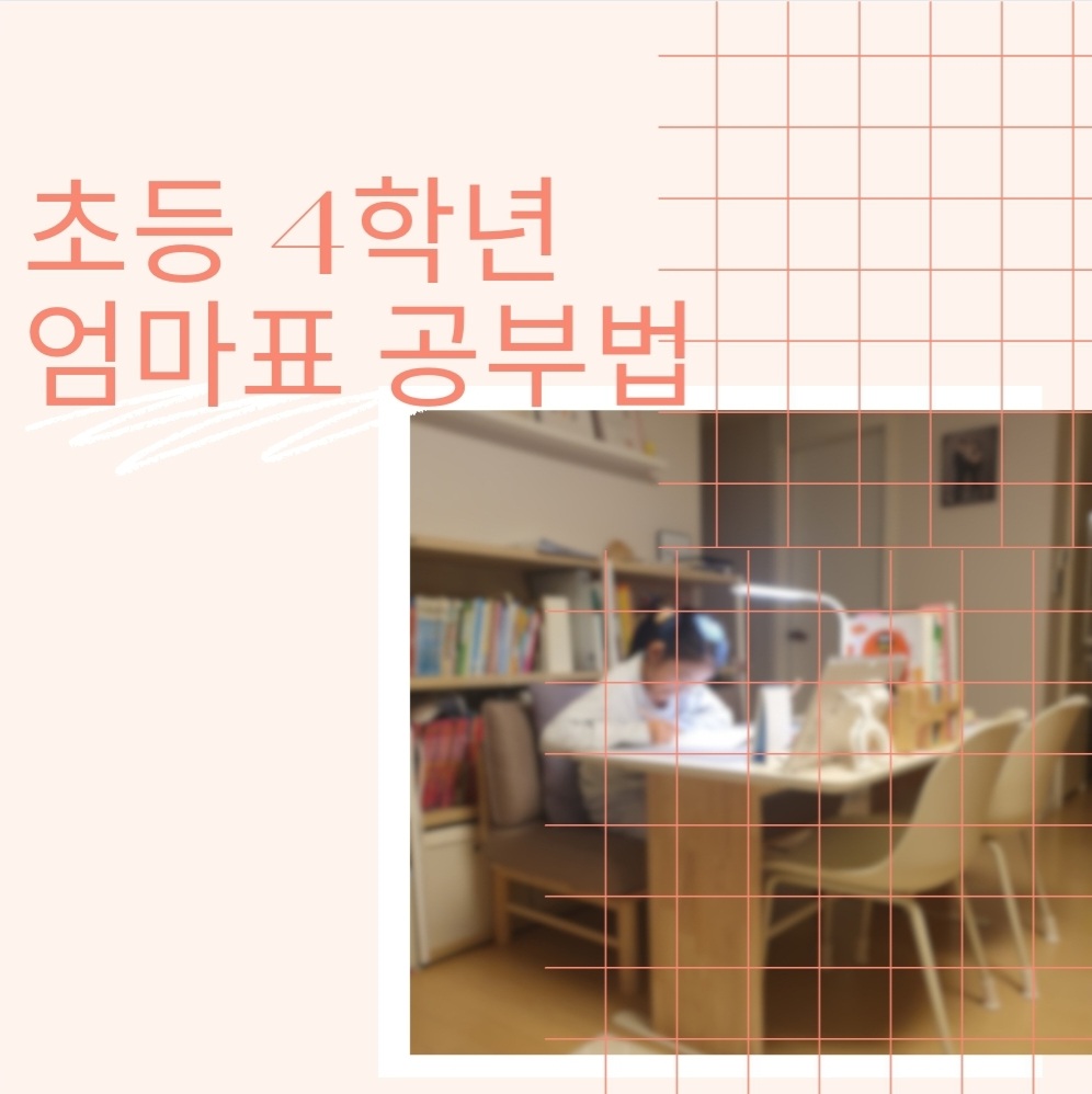 엄마표 공부법