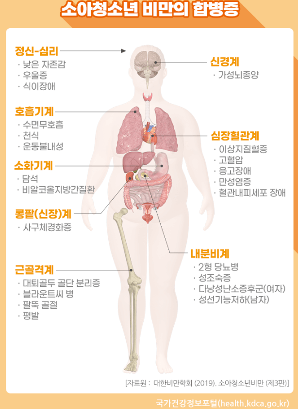 소아청소년 비만의 합병증