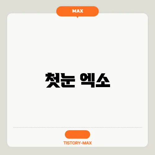 첫눈 엑소