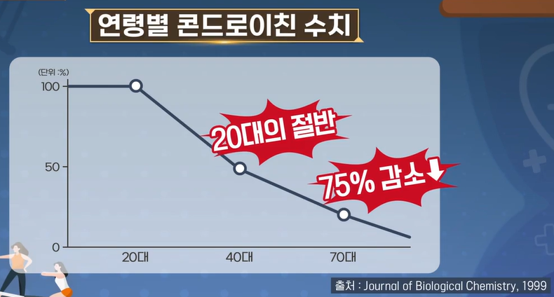 콘드로이친 효능 