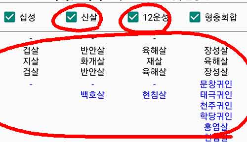만세력 - 신살, 12운성 조회