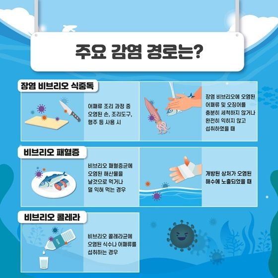 비브리오패혈증 사망자 올해 첫 발생: 치사율 50% 예방법과 고위험군 주의사항 총정리