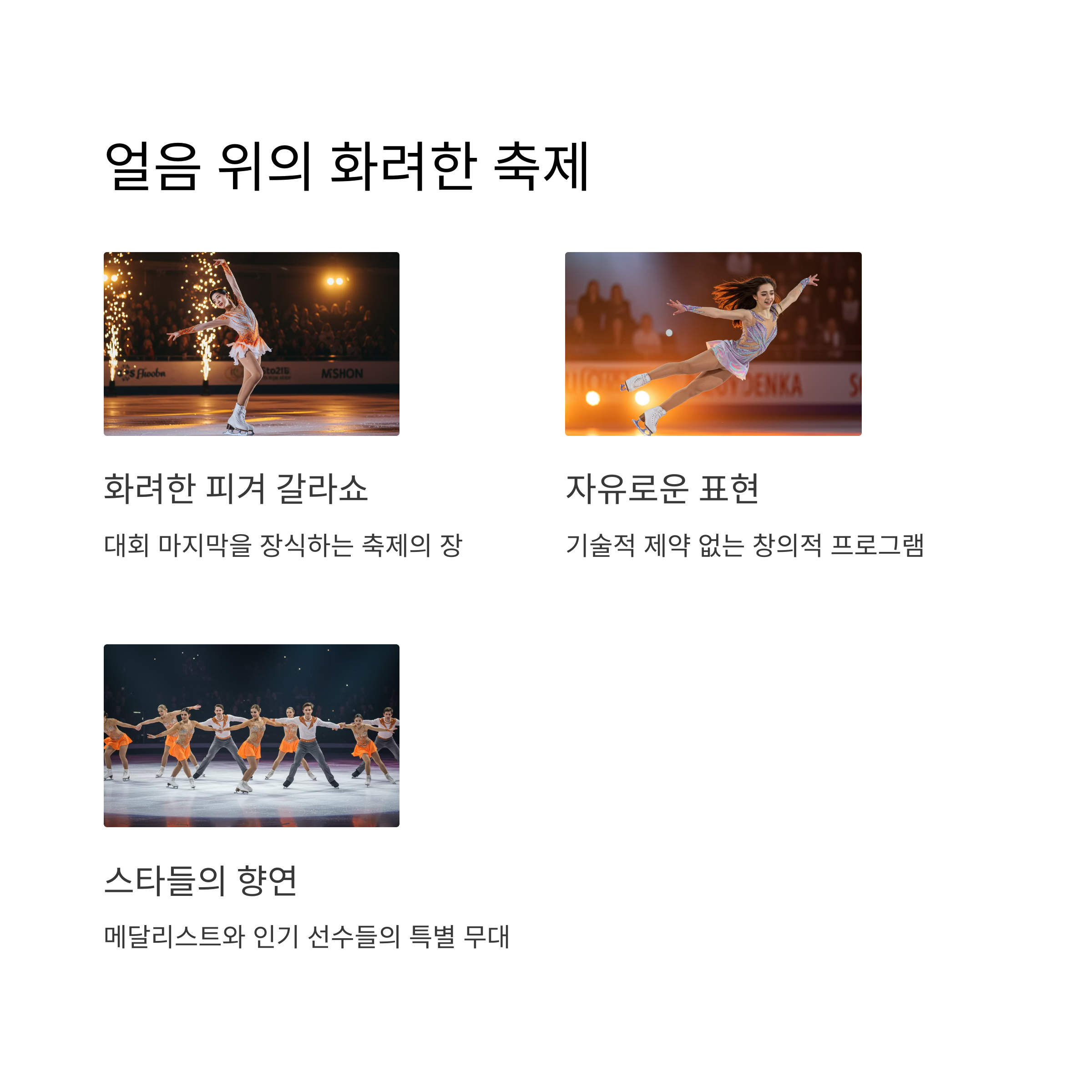 피겨스케이팅에서의 갈라쇼