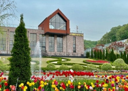 용인 자작나무숲 봄꽃축제 04