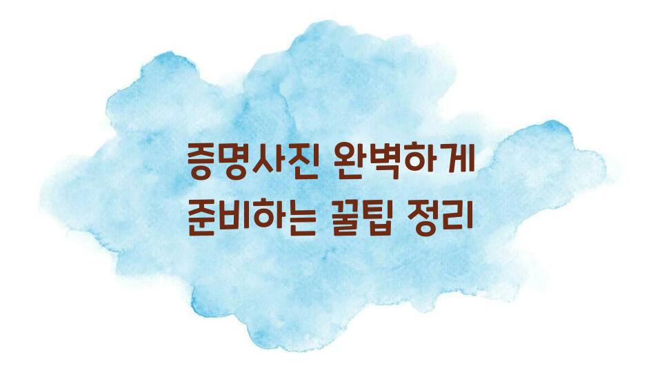 증명사진