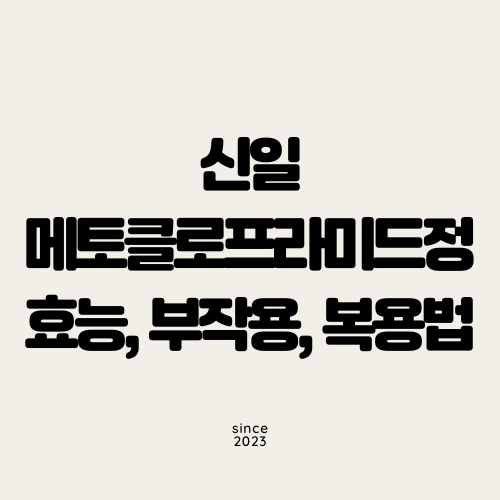 신일메토클로프라미드정 효능