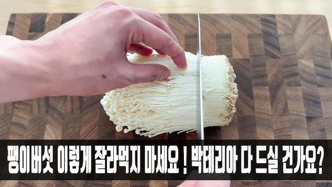 팽이버섯 재배 저온 관리 병해 예방 깔끔한 세척_7