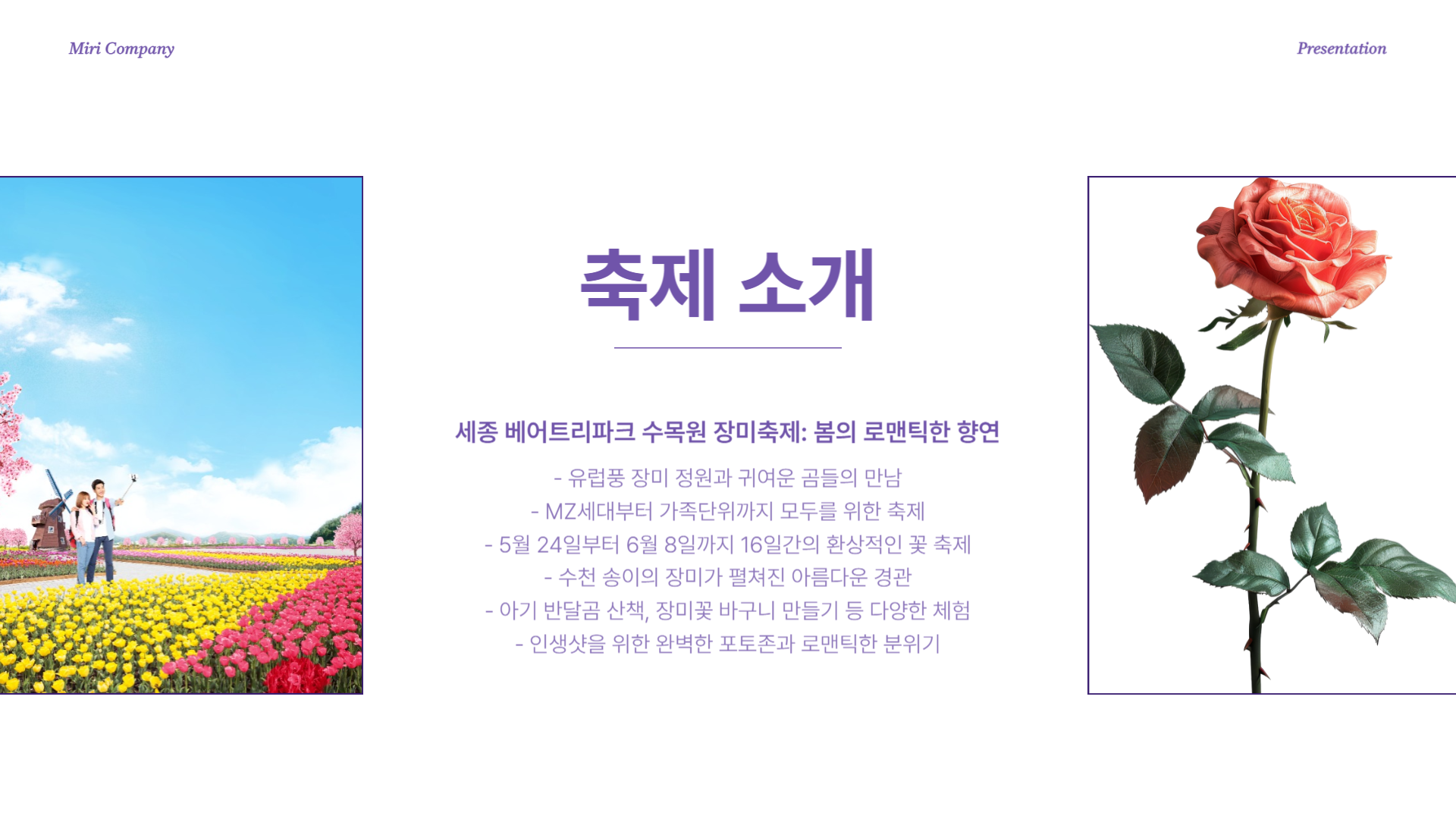 세종 베어트리파크 수목원 장미축제