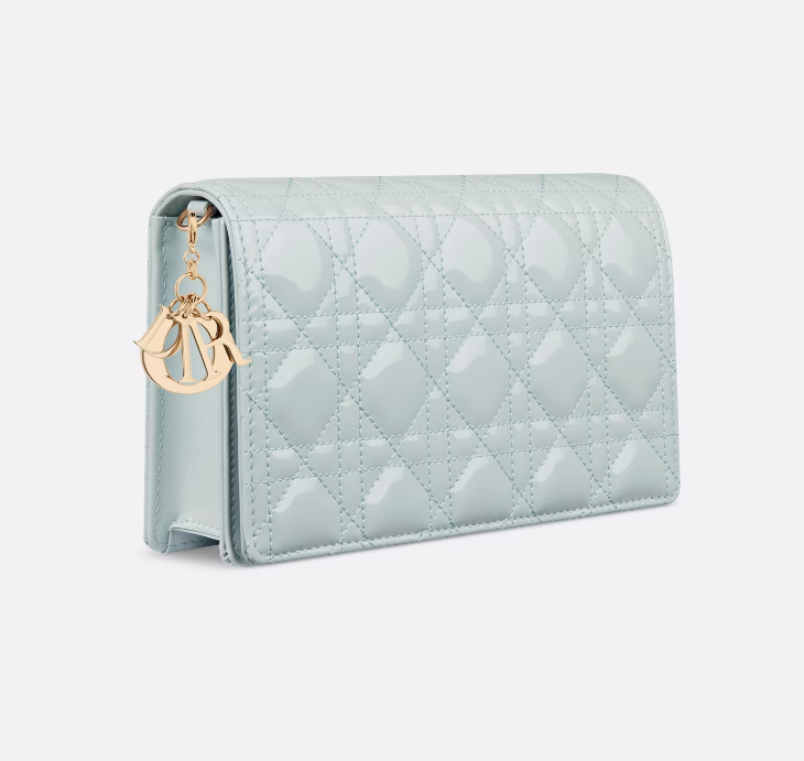 김건희가 선물받아서 유명해진 '조만한 백' 레이디 디올 WOC (Lady Dior WOC) 315만원