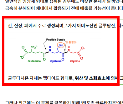 글루타치온 효능과 부작용 알아보기
