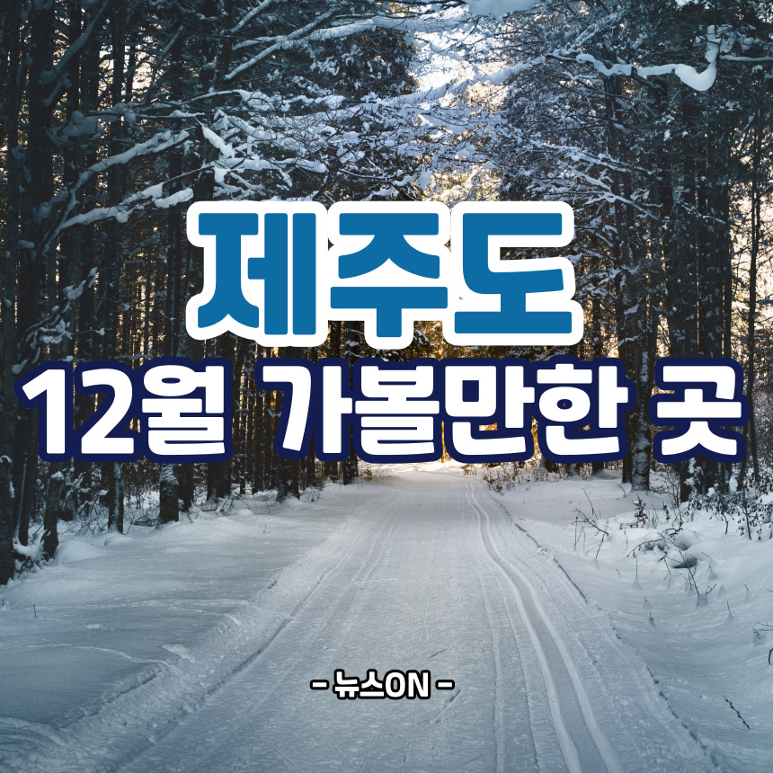 제주도 12월 가볼만한곳 10곳