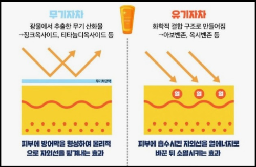 알트태그-무기자차와 유기자차의 차이