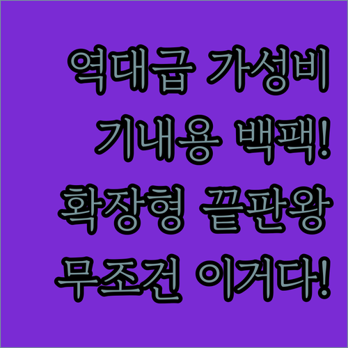 가성비 좋은 기내용 확장형 백팩 실물..