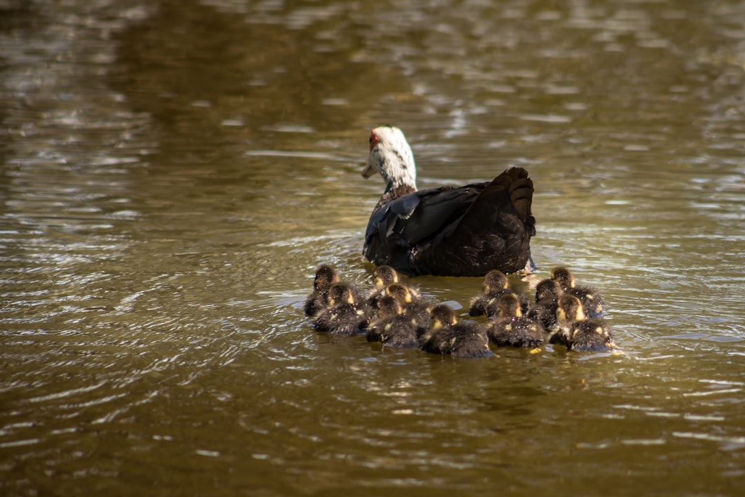 Single-parent family.