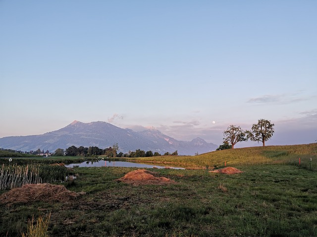 달이 보이는 골프장 전경