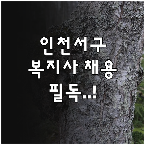인천 서구 사회복지사 취업 정보 및 ..