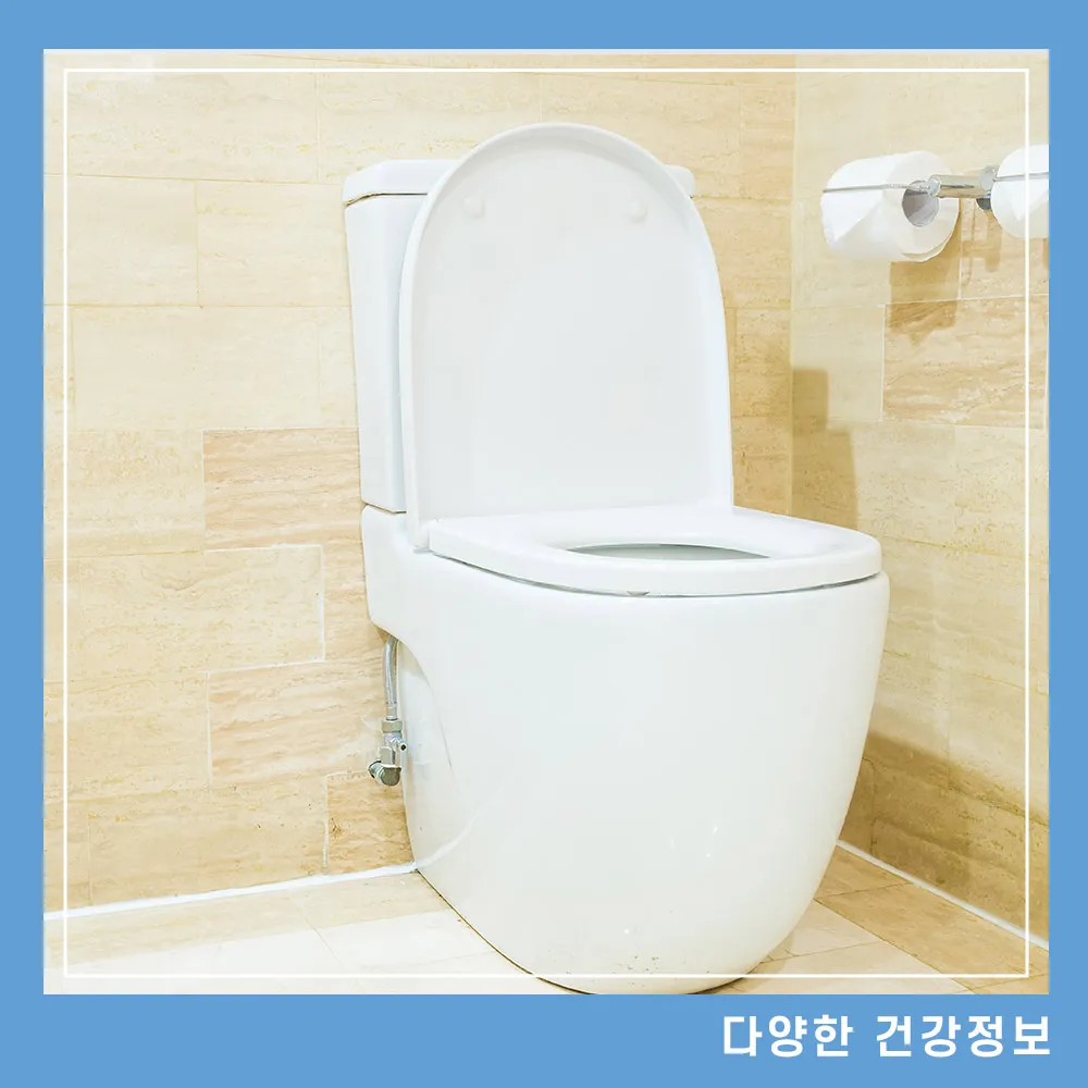 소품에-거품이-많으면-단백뇨-원인