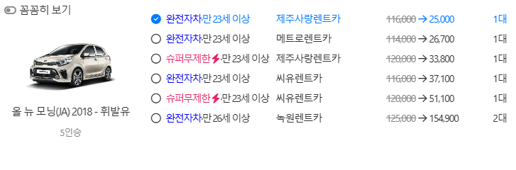 돌하루팡 렌트카