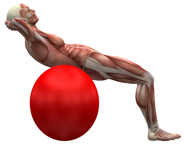 남자 필라테스 효과