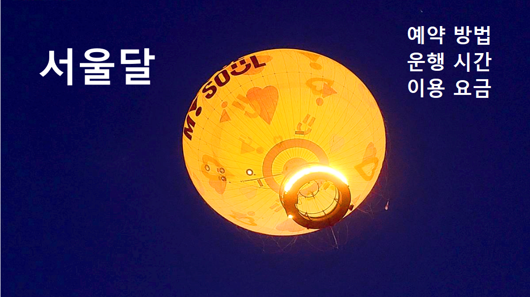 서울달