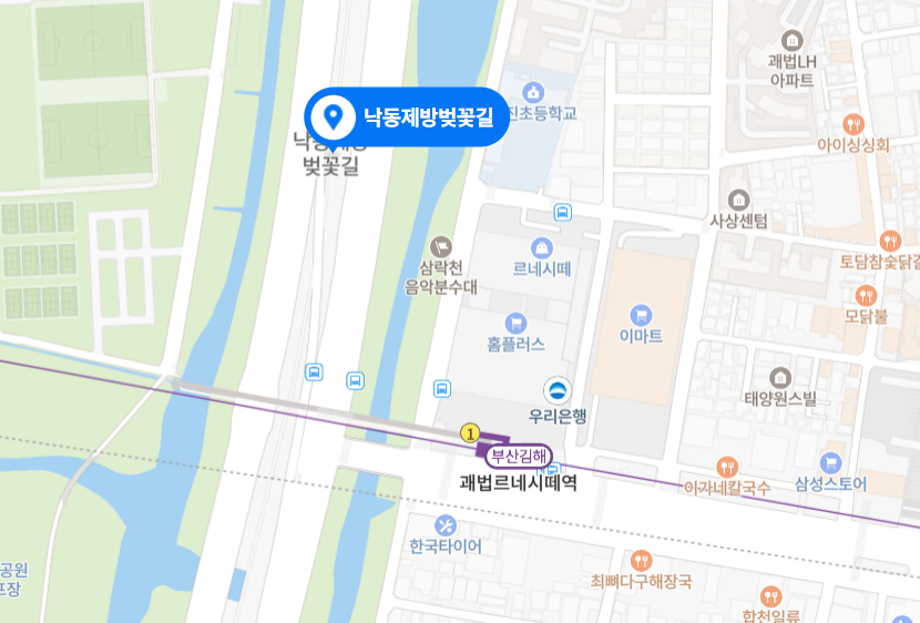 부산 낙동강 정원 벚꽃 축제
