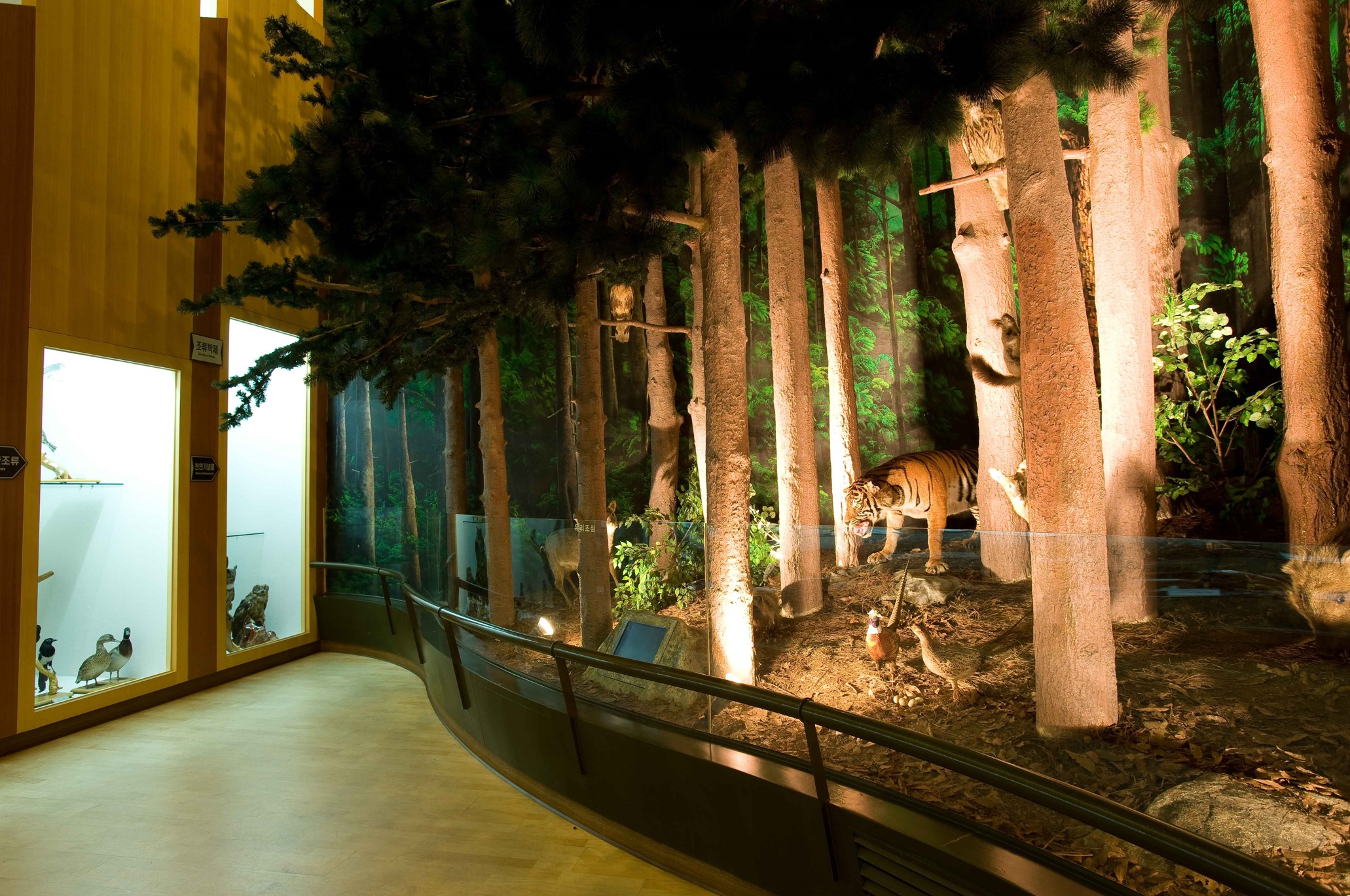 춘천-산림박물관-실내-모습