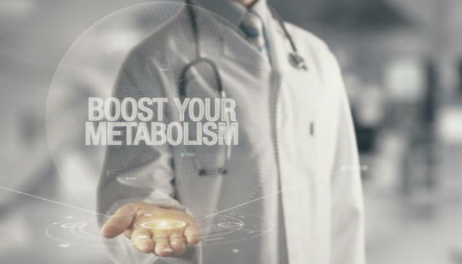 대사체 안정성 문제가 임상 연구에서 특히 중요한 이유