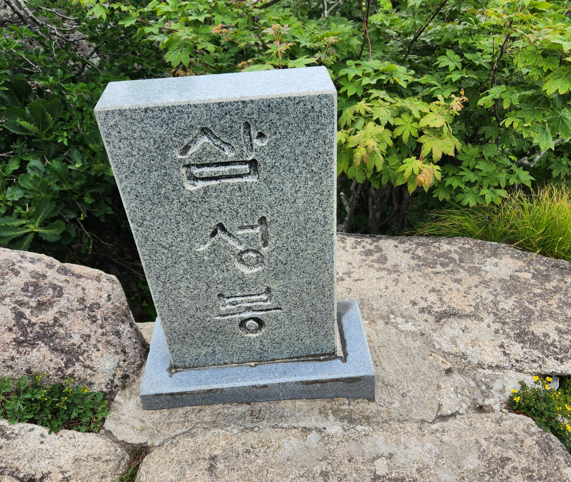 팔공산 수태골 등산 (96)