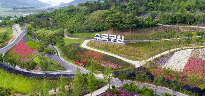 도초도 수국공원