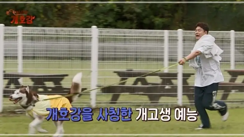 집-나가면-개호강-장소-팔레드-차밍-애견-동반-리조트