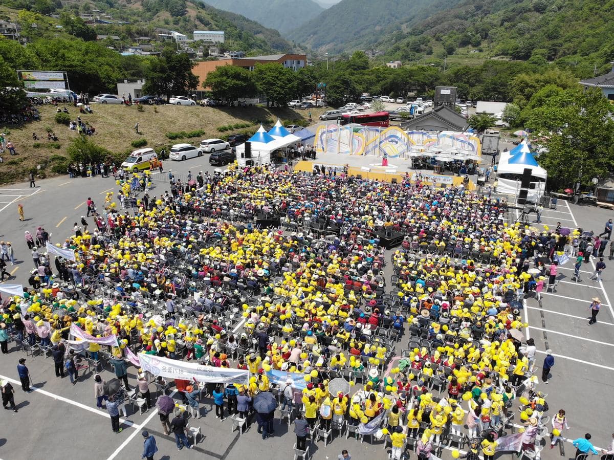 [5월 축제]2025 하동야생차문화축제❘기간, 일정, 체험 프로그램, 공연 정리