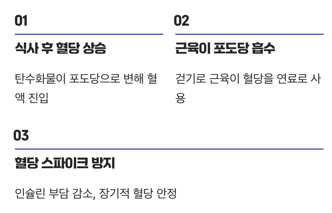식후 10분, 최고의 골든타임